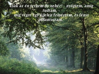 Csak az én terhem ily nehéz! - nyögtem, amíg tudtam, - míg végre egy éjjelen felnéztem, és fényt pillantottam.  