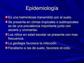 Epidemiología
Es una helmintiosis transmitido por el suelo.
Se presenta en climas tropicales o subtropicales
es de una prevalencia importante junto con
ascaris y uncinarias.
Los niños en edad escolar se presenta con mas
frecuencia.
La geofagia favorece la infección.
Fecalismo a ras de suelo, favorece el ciclo.
 