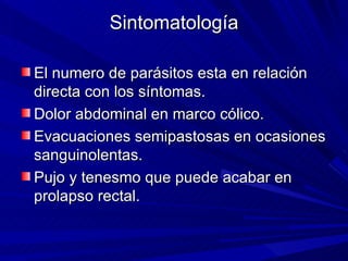 Sintomatología

El numero de parásitos esta en relación
directa con los síntomas.
Dolor abdominal en marco cólico.
Evacuaciones semipastosas en ocasiones
sanguinolentas.
Pujo y tenesmo que puede acabar en
prolapso rectal.
 