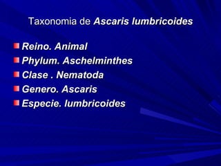 Taxonomia de Ascaris lumbricoides

Reino. Animal
Phylum. Aschelminthes
Clase . Nematoda
Genero. Ascaris
Especie. lumbricoides
 