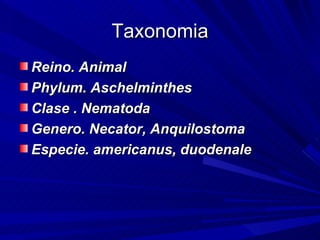Taxonomia
Reino. Animal
Phylum. Aschelminthes
Clase . Nematoda
Genero. Necator, Anquilostoma
Especie. americanus, duodenale
 