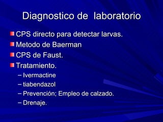 Diagnostico de laboratorio
CPS directo para detectar larvas.
Metodo de Baerman
CPS de Faust.
Tratamiento.
– Ivermactine
– tiabendazol
– Prevención; Empleo de calzado.
– Drenaje.
 