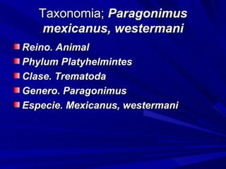 Taxonomia; Paragonimus
   mexicanus, westermani
Reino. Animal
Phylum Platyhelmintes
Clase. Trematoda
Genero. Paragonimus
Especie. Mexicanus, westermani
 