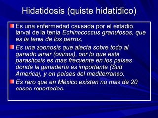 Hidatidosis (quiste hidatídico)
Es una enfermedad causada por el estadio
larval de la tenia Echinococcus granulosos, que
es la tenia de los perros.
Es una zoonosis que afecta sobre todo al
ganado lanar (ovinos), por lo que esta
parasitosis es mas frecuente en los países
donde la ganadería es importante (Sud
America), y en países del mediterraneo.
Es raro que en México existan no mas de 20
casos reportados.
 