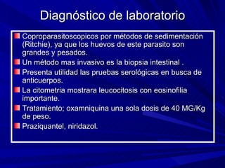 Diagnóstico de laboratorio
Coproparasitoscopicos por métodos de sedimentación
(Ritchie), ya que los huevos de este parasito son
grandes y pesados.
Un método mas invasivo es la biopsia intestinal .
Presenta utilidad las pruebas serológicas en busca de
anticuerpos.
La citometria mostrara leucocitosis con eosinofilia
importante.
Tratamiento; oxamniquina una sola dosis de 40 MG/Kg
de peso.
Praziquantel, niridazol.
 
