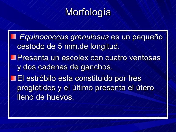 El tratamiento láser atopicheskogo de la dermatitis