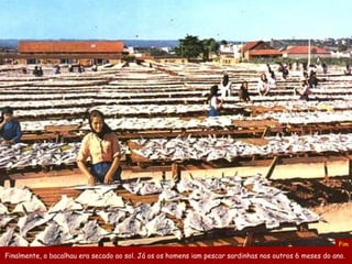 Finalmente, o bacalhau era secado ao sol. Já os os homens iam pescar sardinhas nos outros 6 meses do ano.   Fim 