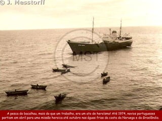 A pesca do bacalhau, mais do que um trabalho, era um ato de heroísmo! Até 1974, navios portugueses partiam em ab ril  para uma missão heroica até   o utubro  nas águas frias da costa da Noruega e da Groelândia.  