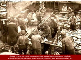 Quando a  captura  era  suficientemente grande ,  os pescadores ajudavam a tripulação  que ficara a bordo a preparar o peixe ,  antes de  jantarem  e ir em  para a s  cama s  beliches. 