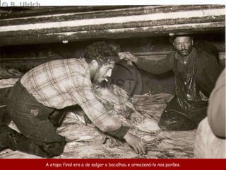 A etapa final era a de salgar o bacalhau e armazená-lo nos porões . 