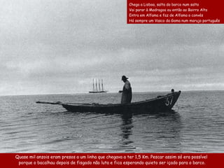 Quase mil anzois eram presos a um linha que chegava a ter 1,5 Km. Pescar assim só era possível  porque o bacalhau depois de fisgado não luta e fica esperando quieto ser içado para o barco . Chega a Lisboa, salta do barco num salto  Vai parar à Madragoa ou então ao Bairro Alto  Entra em Alfama e faz de Alfama o convés  Há sempre um Vasco da Gama num marujo portugu ê s 