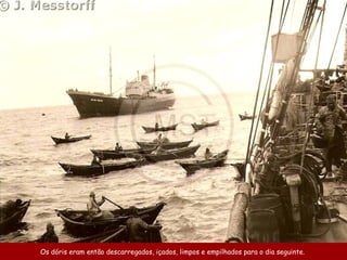 Os dóris eram então descarregados, içados, limpos e empilhados para o dia seguinte.
 