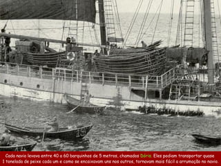 Cada navio levava entre 40 a 60 barquinhos de 5 metros, chamados Dóris. Eles podiam transportar quase
1 tonelada de peixe cada um e como se encaixavam uns nos outros, tornavam mais fácil a arrumação no navio.
 