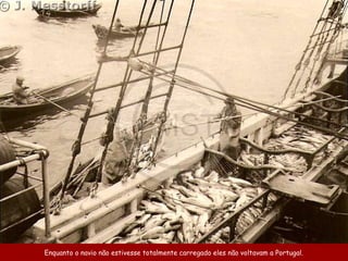 Enquanto o navio não estivesse totalmente carregado eles não voltavam a Portugal.
 