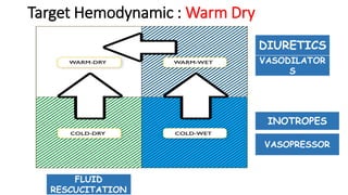 Target Hemodynamic : Warm Dry
FLUID
RESCUCITATION
INOTROPES
DIURETICS
VASODILATOR
S
VASOPRESSOR
 