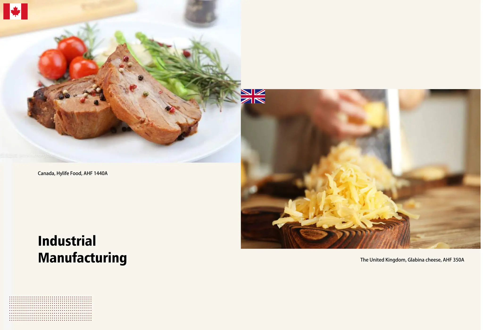 AHF Brochure_updated 20210526-compressed (2).pdf