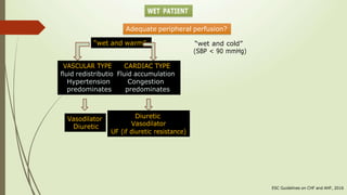 n
Hypertension Congestion
predominates predominates
“wet and warm” “wet and cold”
(SBP < 90 mmHg)
ESC Guidelines on CHF and AHF, 2016
Diuretic
Vasodilator
Diuretic
Adequate peripheral perfusion?
 