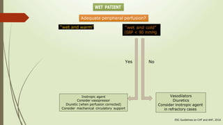 “wet and cold”
Adequate peripheral perfusion?
“wet and warm”
ESC Guidelines on CHF and AHF, 2016
Yes No
Vasodilators
Diuretics
Consider inotropic agent
in refractory cases
 