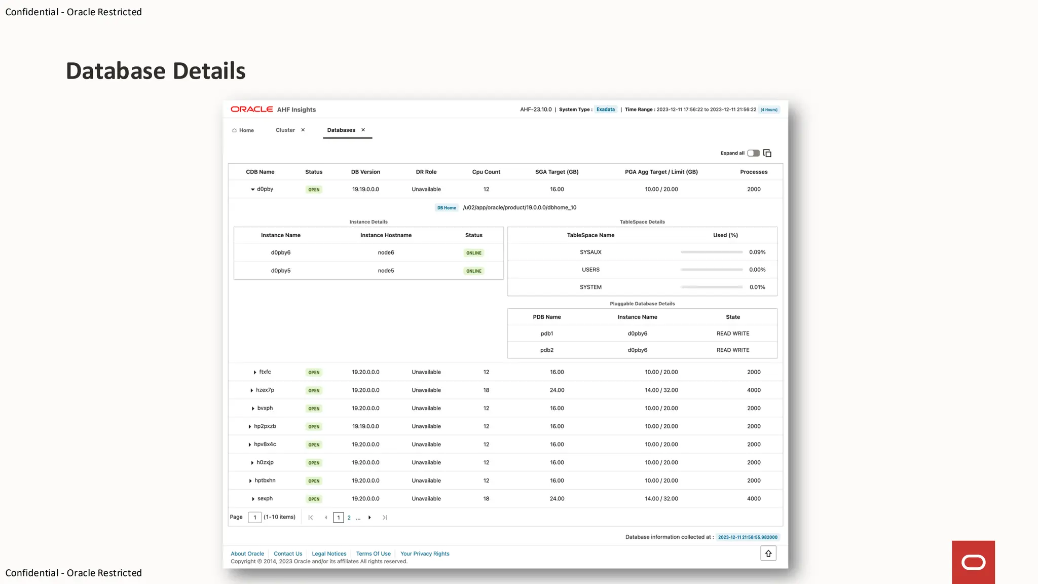 Confidential - Oracle Restricted
Confidential - Oracle Restricted
Database Details
 