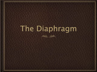 The Diaphragm
 