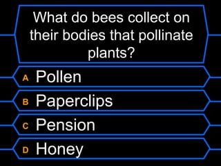 What do bees collect on their bodies that pollinate plants? A  Pollen B  Paperclips C  Pension D  Honey 