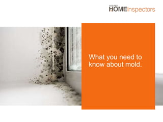 What you need to
know about mold.
 