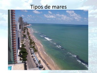 Tipos de mares
 