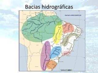 Bacias hidrográficas
 