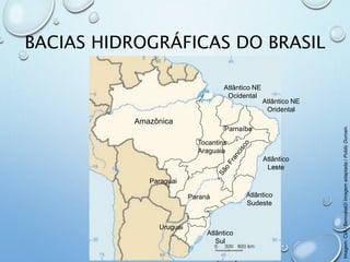 BACIAS HIDROGRÁFICAS DO BRASIL
Imagem:CIA/Bemoeial2/Imagemadaptada/PublicDomain.
Amazônica
Paraguai
Paraná
Uruguai
Atlântico
Sul
Atlântico
Sudeste
Atlântico
Leste
Atlântico NE
Ocidental
Atlântico NE
Oridental
Parnaíba
Tocantins
Araguaia
 