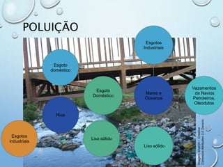 POLUIÇÃO
Rios
Esgoto
doméstico
Lixo sólido
Esgotos
industriais
Mares e
Oceanos
Esgotos
Industriais
Vazamentos
de Navios
Petroleiros,
Oleodutos
Lixo sólido
Esgoto
Doméstico
Imagem:khyk54/Creative
CommonsAttribution2.0Generic.
 
