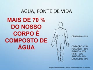 ÁGUA, FONTE DE VIDA
MAIS DE 70 %
DO NOSSO
CORPO É
COMPOSTO DE
ÁGUA
CÉREBRO – 75%
CORAÇÃO – 75%
PULMÕES – 86%
FÍGADO – 86%
RINS – 83%
SANGUE- 81%
MÚSCULOS-75%
Imagem: Osteomyoamare / Creative Commons Attribution 3.0 Unported.
 