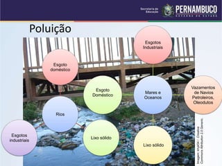 Poluição
Rios
Esgoto
doméstico
Lixo sólido
Esgotos
industriais
Mares e
Oceanos
Esgotos
Industriais
Vazamentos
de Navios
Petroleiros,
Oleodutos
Lixo sólido
Esgoto
Doméstico
Imagem:
khyk54
/
Creative
Commons
Attribution
2.0
Generic.
 