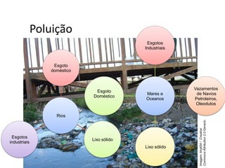 Poluição
Rios
Esgoto
doméstico
Lixo sólido
Esgotos
industriais
Mares e
Oceanos
Esgotos
Industriais
Vazamentos
de Navios
Petroleiros,
Oleodutos
Lixo sólido
Esgoto
Doméstico
Imagem:
khyk54
/
Creative
Commons
Attribution
2.0
Generic.
 