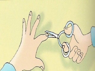 A+higiene+e+a+sa%c3%b ade+do+nosso+corpo[1]