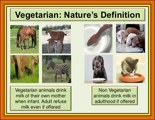 Ahimsak (vegan) lifestyle by sanjay jain