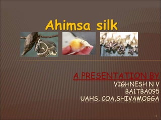Ahimsa silk
A PRESENTATION BY
VIGHNESH N V
BA1TBA095
UAHS, COA,SHIVAMOGGA
1
 