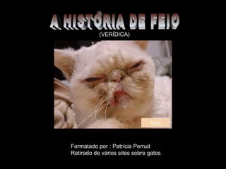 (VERÍDICA)
Formatado por : Patrícia Perrud
Retirado de vários sites sobre gatos
foto
 