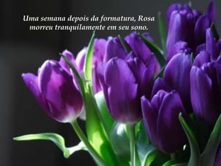 Uma semana depois da formatura, Rosa
 morreu tranquilamente em seu sono.
 