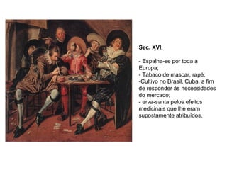 Sec. XVI : - Espalha-se por toda a Europa; - Tabaco de mascar, rapé; Cultivo no Brasil, Cuba, a fim de responder às necessidades do mercado; - erva-santa pelos efeitos medicinais que lhe eram supostamente atribuídos. 