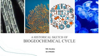 A HISTORICAL SKETCH OF
BIOGEOCHEMICAL CYCLE
MD. Ibrahim
ID:19902001
 