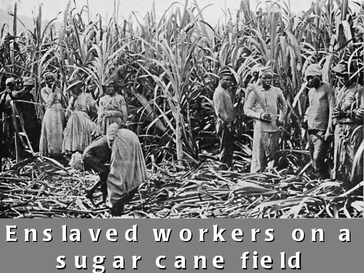 A history of lemonade