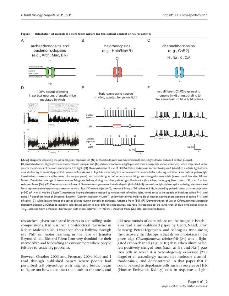 A history of the development of tools for controlling br…