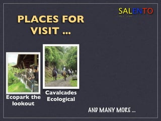 A History Of Salento Colombia