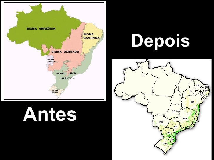 Cite Quatro Estados Em Que Ocorreu Devastação Da Mata Atlantica