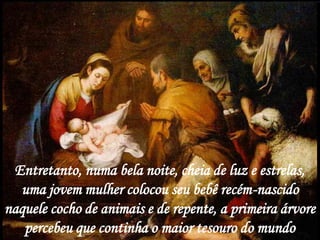 Entretanto, numa bela noite, cheia de luz e estrelas,
  uma jovem mulher colocou seu bebê recém-nascido
naquele cocho de animais e de repente, a primeira árvore
   percebeu que continha o maior tesouro do mundo
 