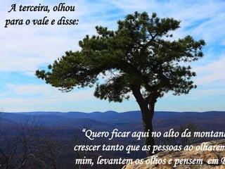 A terceira, olhou
para o vale e disse:




                    “Quero ficar aqui no alto da montanh
                  crescer tanto que as pessoas ao olharem
                  mim, levantem os olhos e pensem em D
 