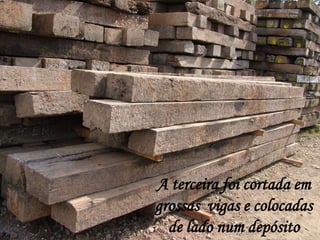 A terceira foi cortada em
grossas vigas e colocadas
  de lado num depósito
 