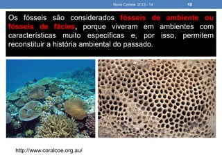Nuno Correia 2013 - 14 10
Os fósseis são considerados fósseis de ambiente ou
fósseis de fácies, porque viveram em ambientes com
características muito específicas e, por isso, permitem
reconstituir a história ambiental do passado.
http://www.coralcoe.org.au/
 