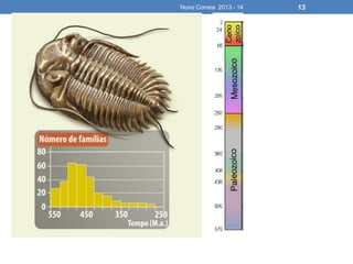 Nuno Correia 2013 - 14 13
 
