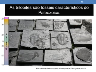 Nuno Correia 2013 - 14
14
As trilobites são fósseis característicos do
Paleozoico.
Foto – Manuel Valério – Centro de Interpretação Geológica de Arouca
 